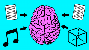 brain Brain absorbing knowledge and music